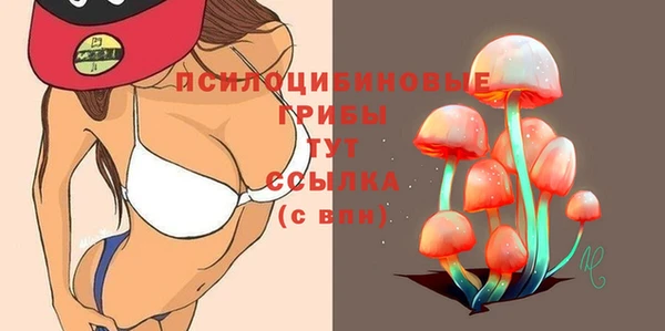 ешки Алексин