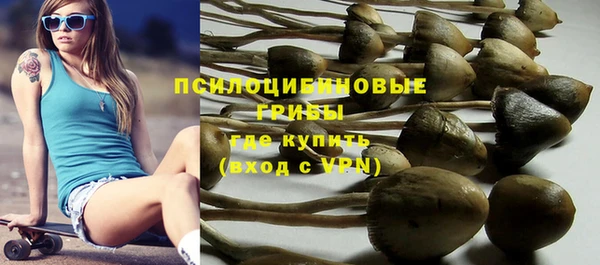 ешки Алексин