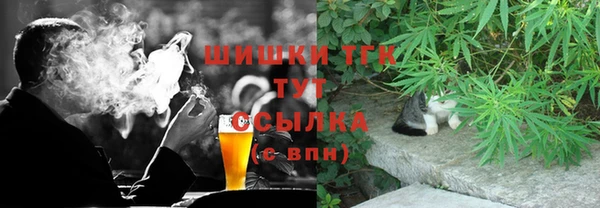 ешки Алексин
