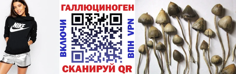 купить цена Плавск Псилоцибиновые грибы Magic Shrooms